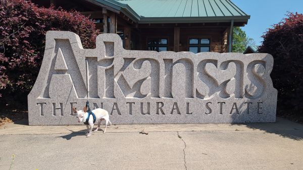 Welcome to Arkansas Bob