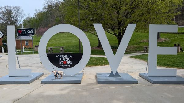 Bob at Virginia Loave Sign