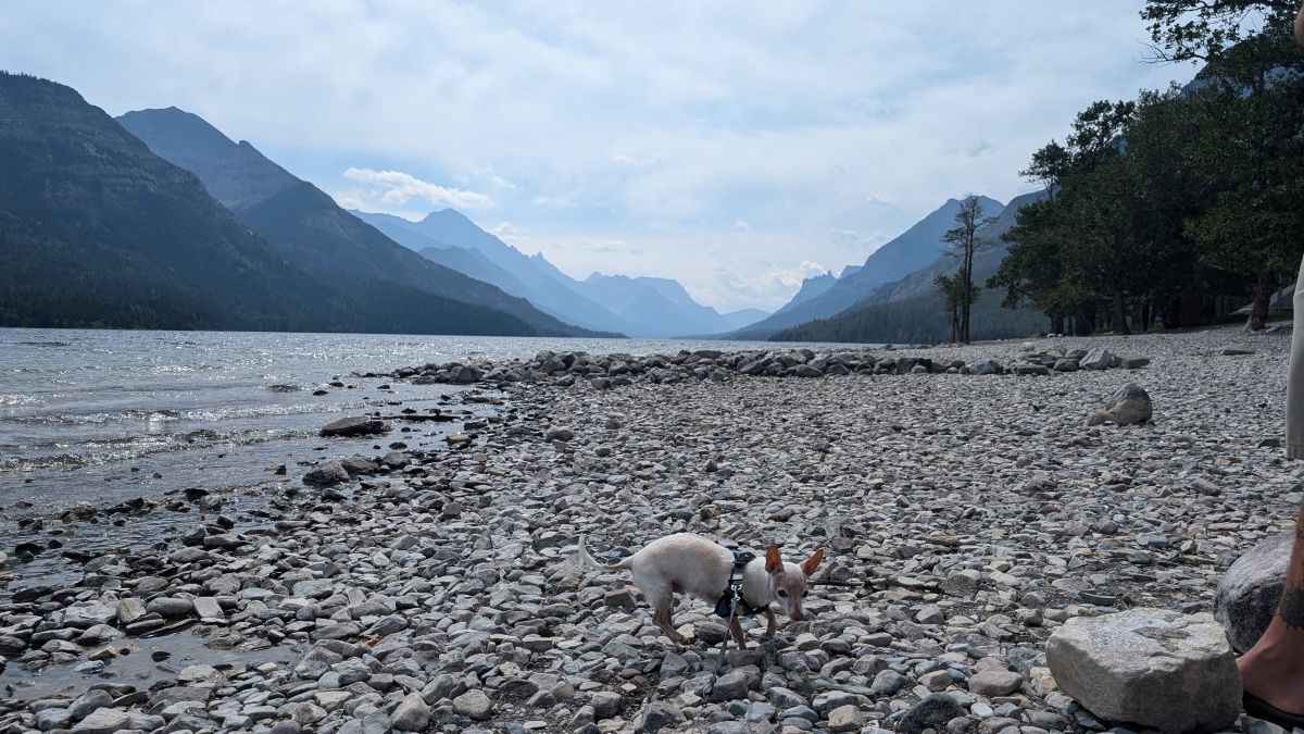 Bob in Waterton Lakes National Park