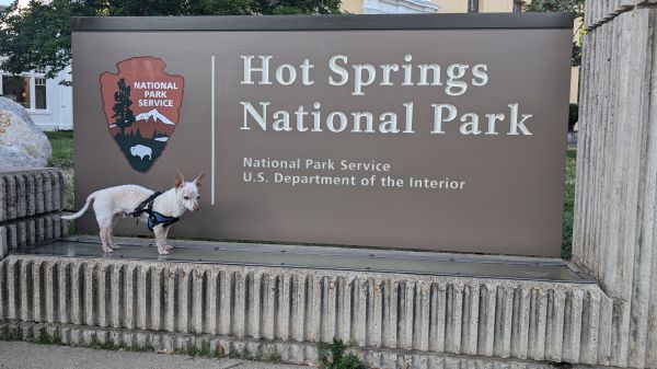 Bob at Hotsprings National Park