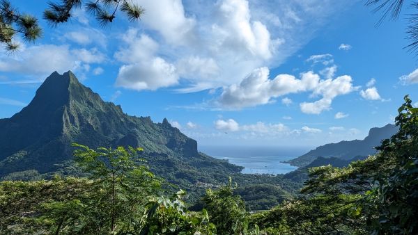 Hike in Moorea